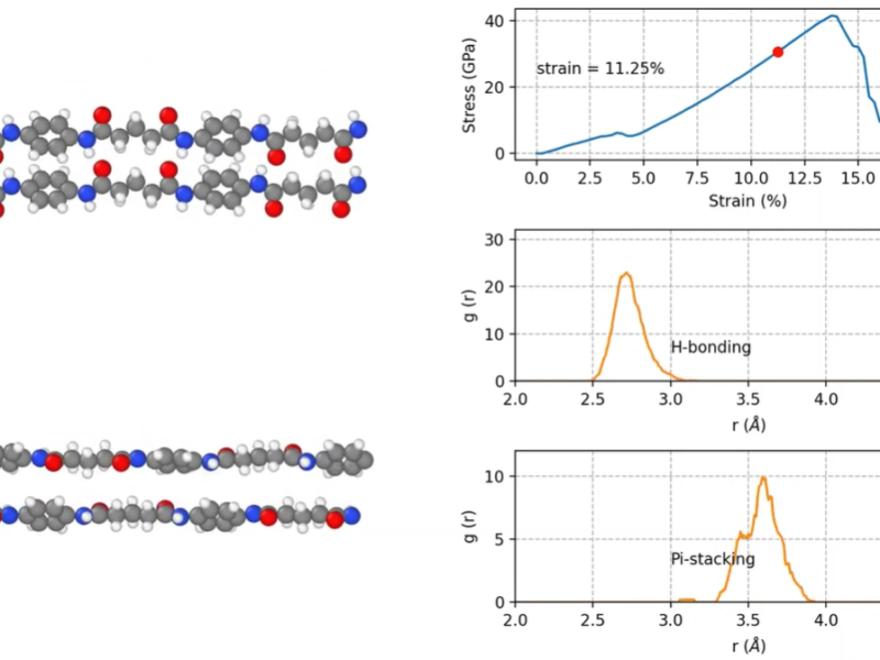 Stress-strain Response of Semi-aromatic Polyamide PAP5